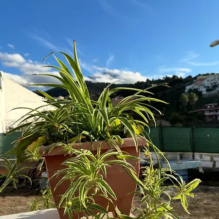 Venkovský dům La Trinidad La Guancha
